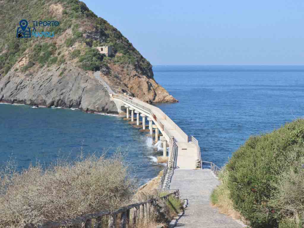 Procida Isola Vivara